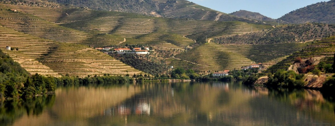 http://www.cruzeirosnodouro.net/wp-content/uploads/2014/03/Douro-Patrimonio-Mundial-1176x445.jpg